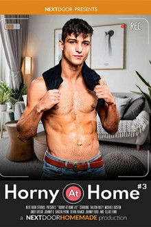 Horny at Home 3