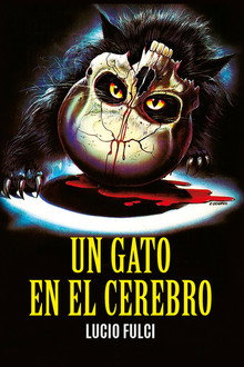 Un gato en el cerebro