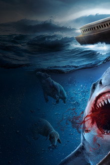 Noah’s Shark