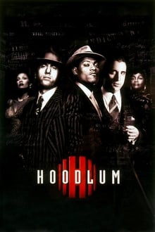 watch Hoodlum (1997)