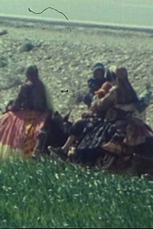 گلیم قشقایی