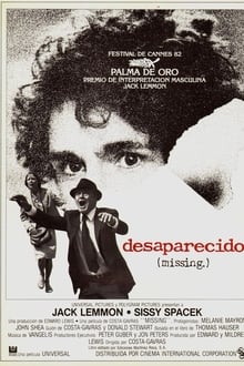 Poster do filme Desaparecido: Um Grande Mistério