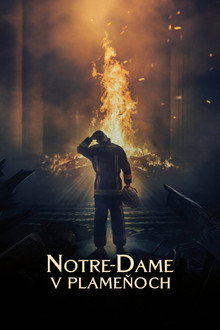 Notre-Dame v plameňoch