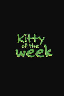 Kitty of the Week
