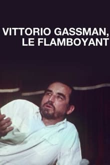 Poster do filme Vittorio Gassman, le flamboyant