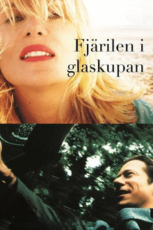 Fjärilen i glaskupan