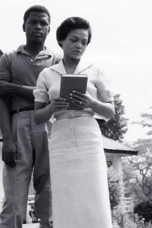 The-Mark-of-the-Hawk