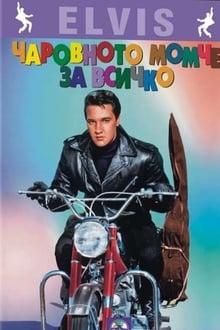 Rascunho automático