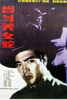 Poster do filme 智斗美女蛇