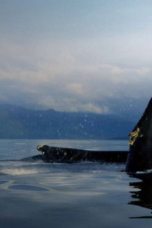 The-Humboldt-Current