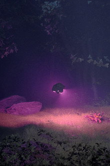 METEOR