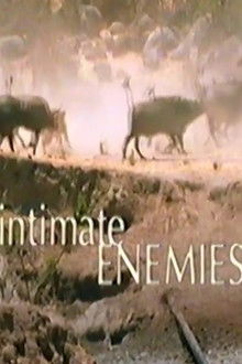 Intimate Enemies