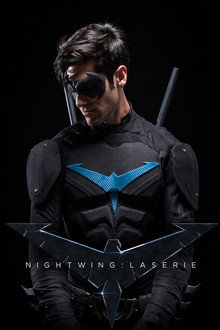Nightwing: The Series