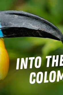 Into-the-Wild-Colombia