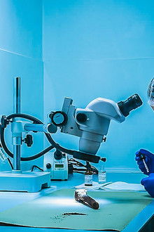 Forensics: The Real CSI - Season 4