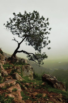 Is Mindfulness Right for You?