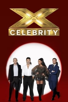 Poster da série The X Factor Celebrity