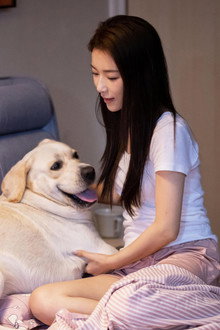 灵犬奇缘