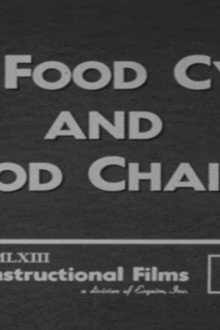 The Food Cycle and Food Chains
