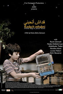 How Big Is Your Love?