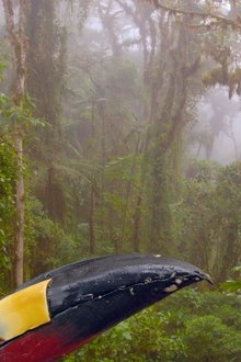 Ecuador-On-the-Wild-Side