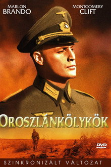 Oroszlánkölykök