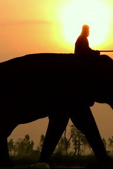 When Elephants Were Young