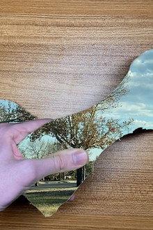 The World in Our Hands