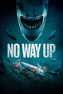 No Way Up movie poster