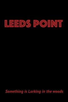 Poster do filme Leeds Point