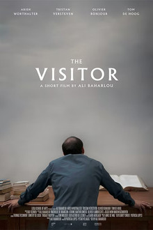 The Visitor