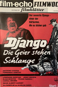 Django - Die Geier stehen Schlange