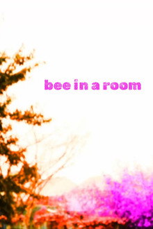 Bee in a Room