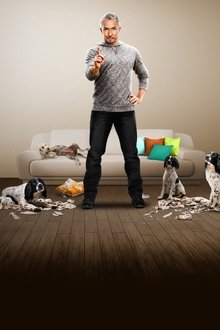 El-Encantador-de-Perros