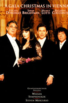 A Gala Christmas in Vienna