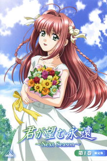 Kimi ga Nozomu Eien ~Next Season~
