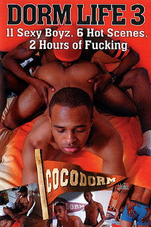Dorm Life 3