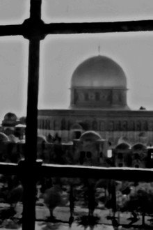 القدس زهرة المدائن