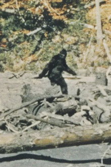Bigfoot: Man or Beast?