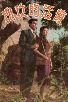 復活的玫瑰