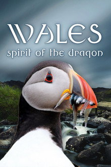 Wildes Wales