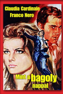 Mint a bagoly nappal