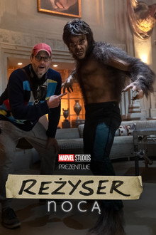 Reżyser nocą