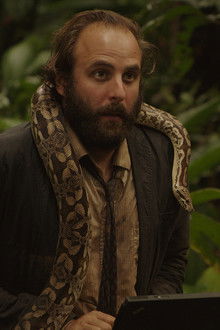 La-legge-della-giungla