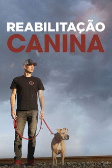 Reabilitação Canina