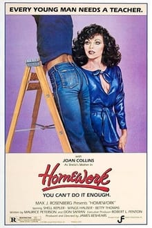 Homework movie poster
