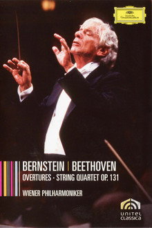 Bernstein Beethoven Overtures