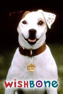 Poster da série As Aventuras de Wishbone