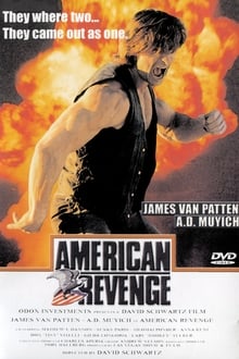 Poster do filme American Revenge