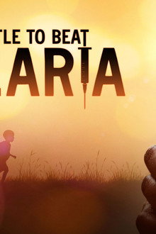 The Battle to Beat Malaria